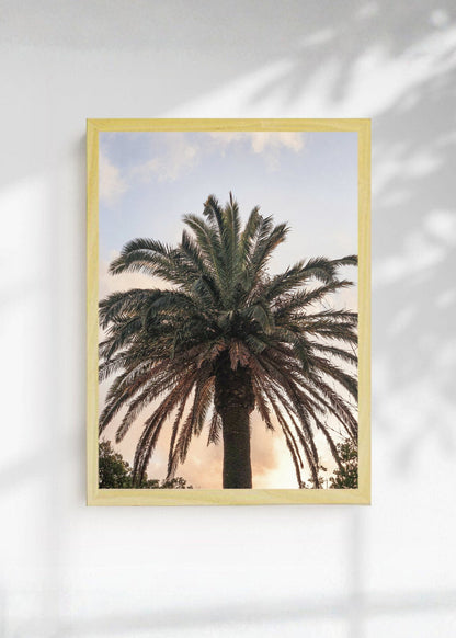 Cuadro Decorativo Playa, Palmera Atardecer Pastel