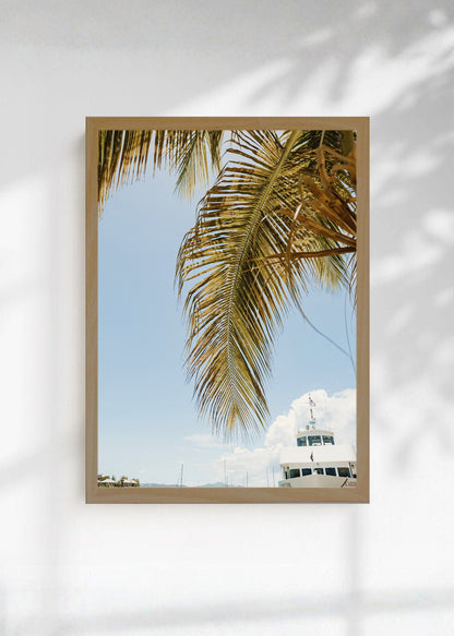 Cuadro Decorativo Playa, Palmera Barco Puerto