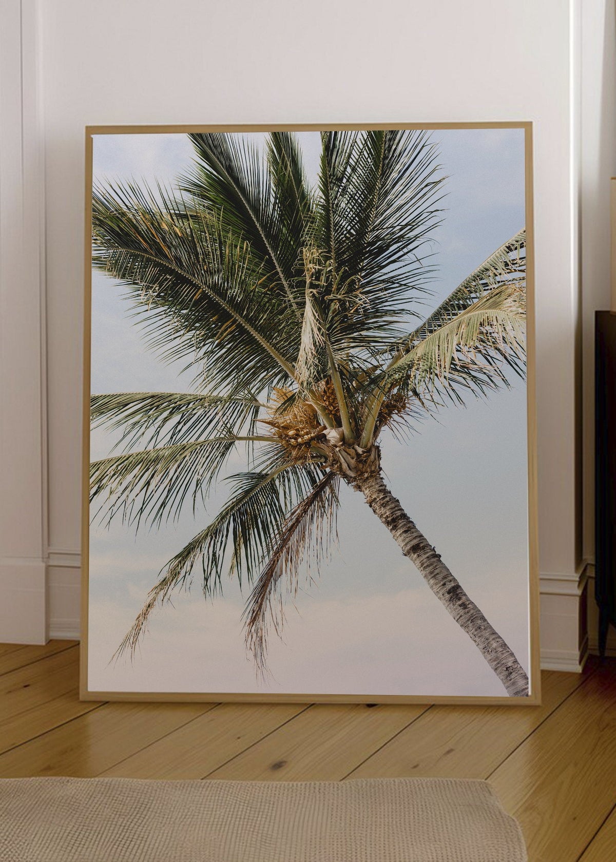 Cuadro Decorativo Playa, Palmera Contrapicado Cielo
