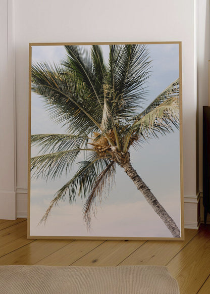 Cuadro Decorativo Playa, Palmera Contrapicado Cielo