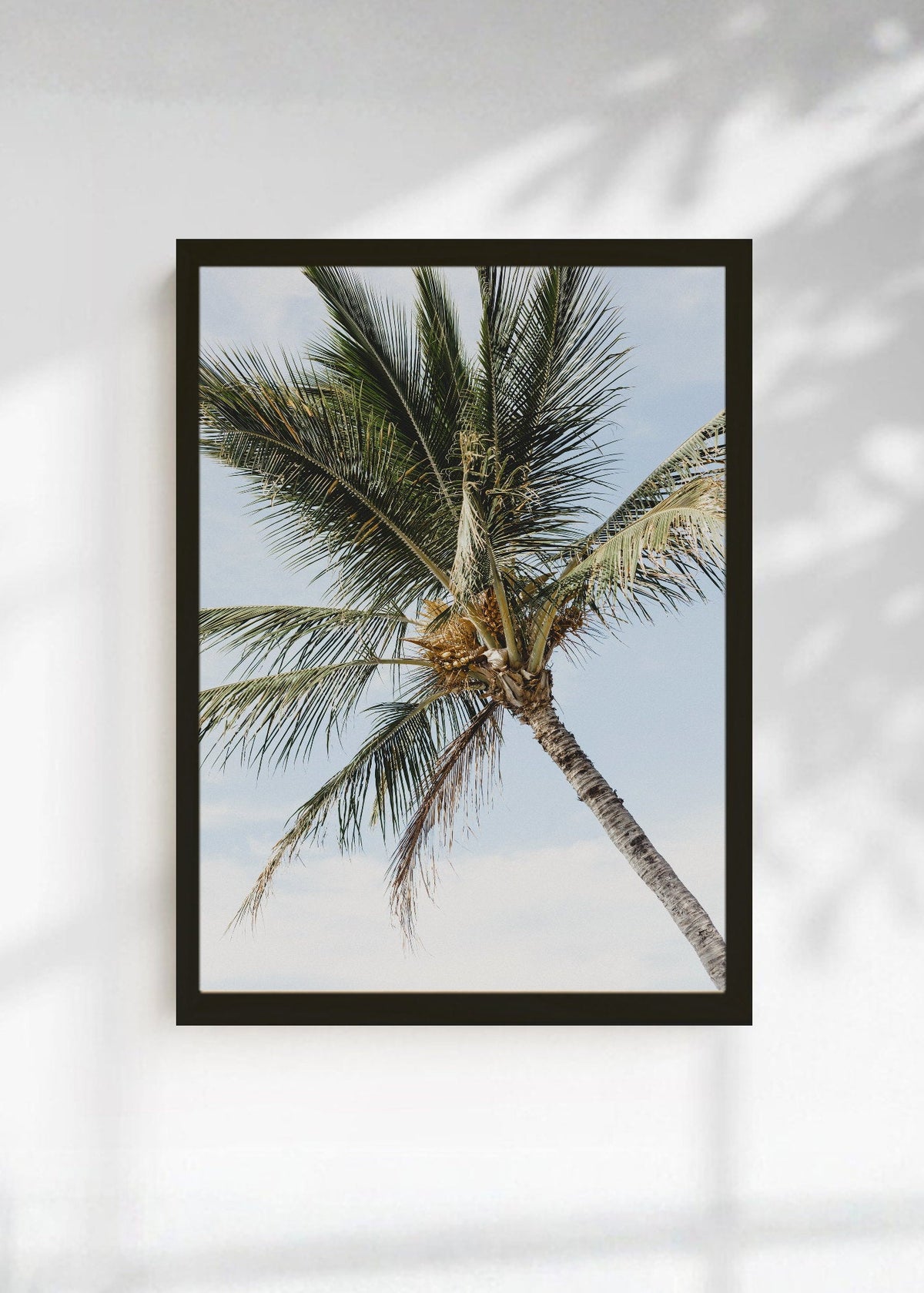 Cuadro Decorativo Playa, Palmera Contrapicado Cielo