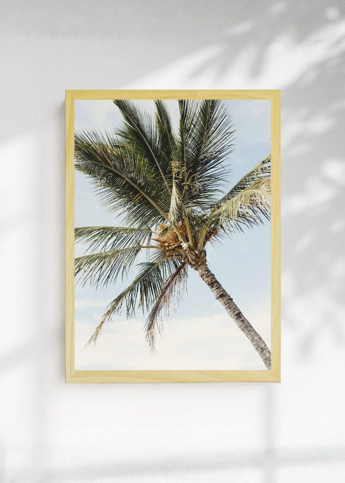 Cuadro Decorativo Playa, Palmera Contrapicado Cielo