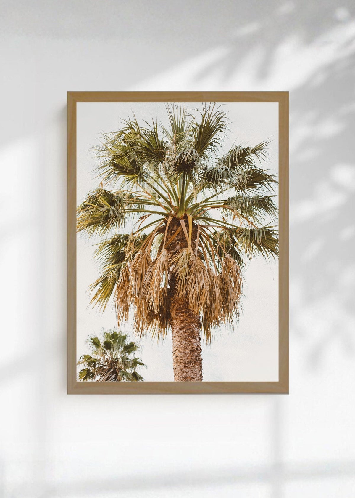 Cuadro Decorativo Playa, Palmera Copa Cielo
