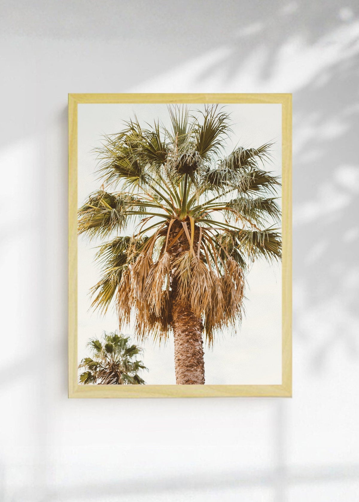 Cuadro Decorativo Playa, Palmera Copa Cielo