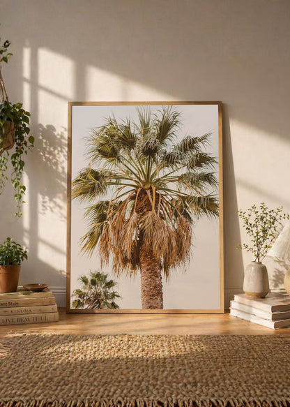 Cuadro Decorativo Playa, Palmera Copa Cielo