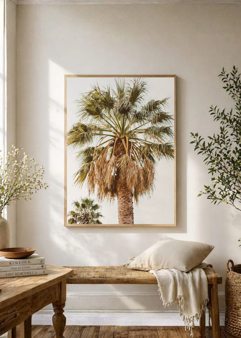Palmera Copa Cielo