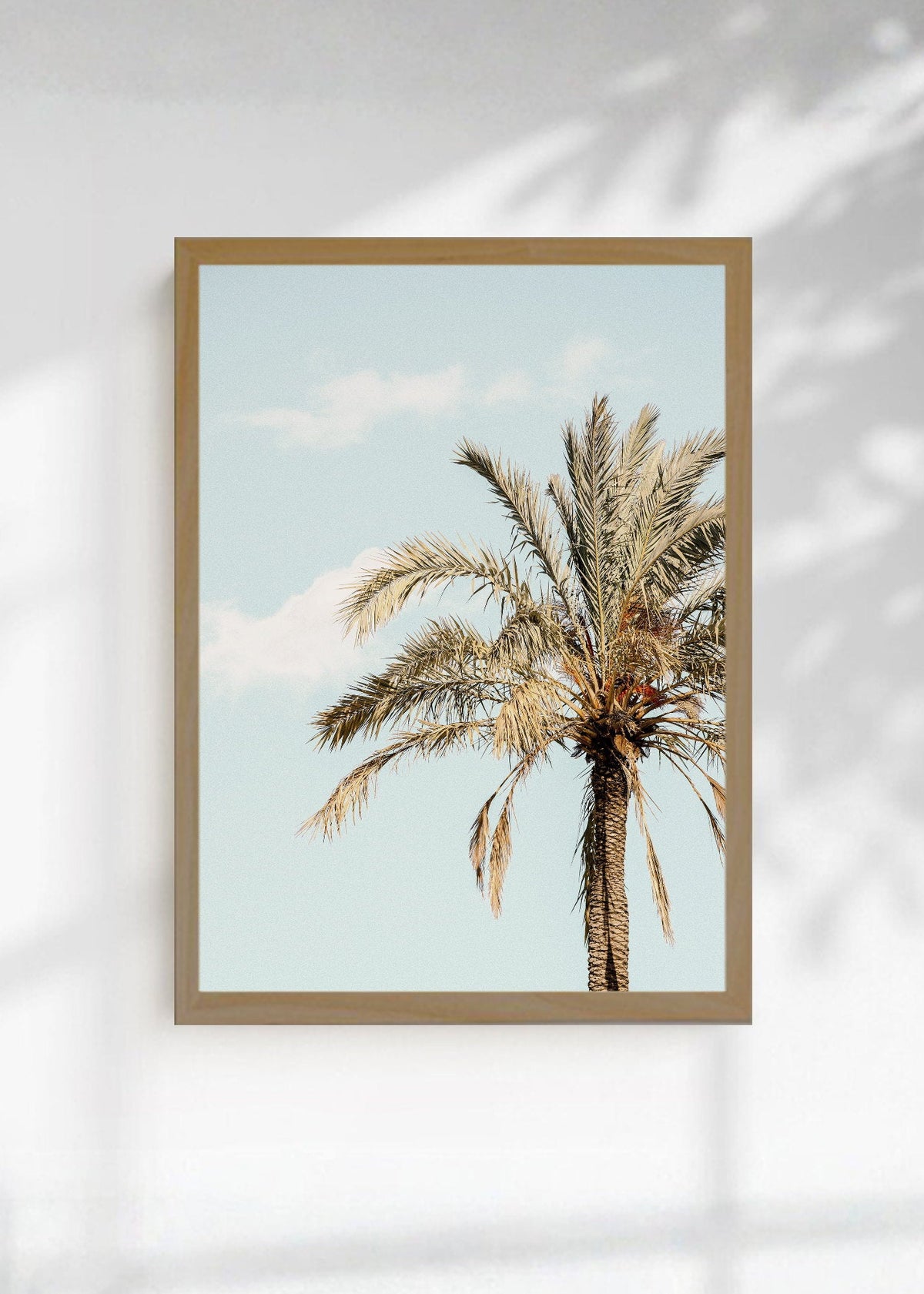 Cuadro Decorativo Playa, Palmera Datilera Beige