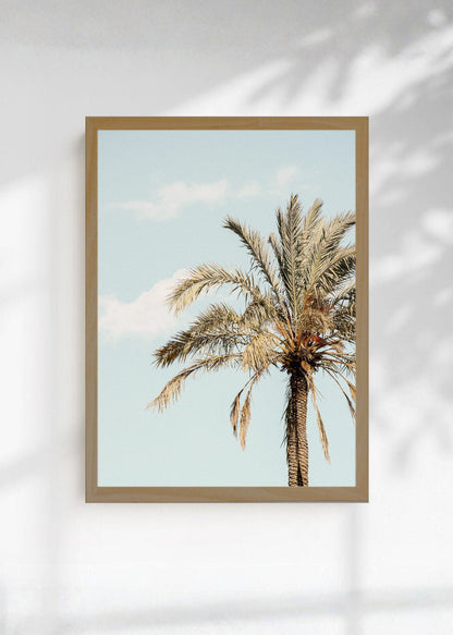 Cuadro Decorativo Playa, Palmera Datilera Beige