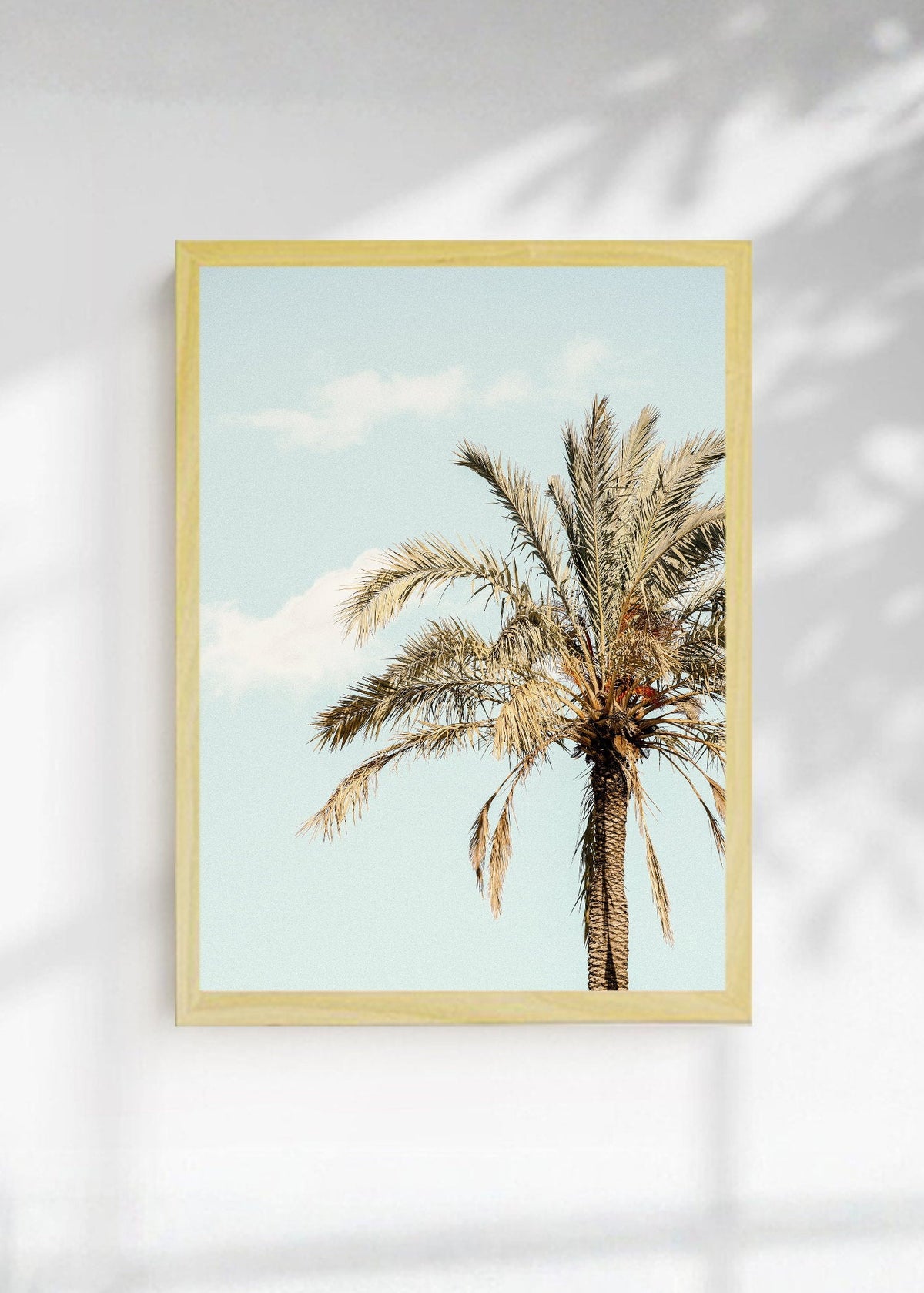 Cuadro Decorativo Playa, Palmera Datilera Beige