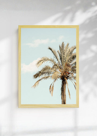 Cuadro Decorativo Playa, Palmera Datilera Beige