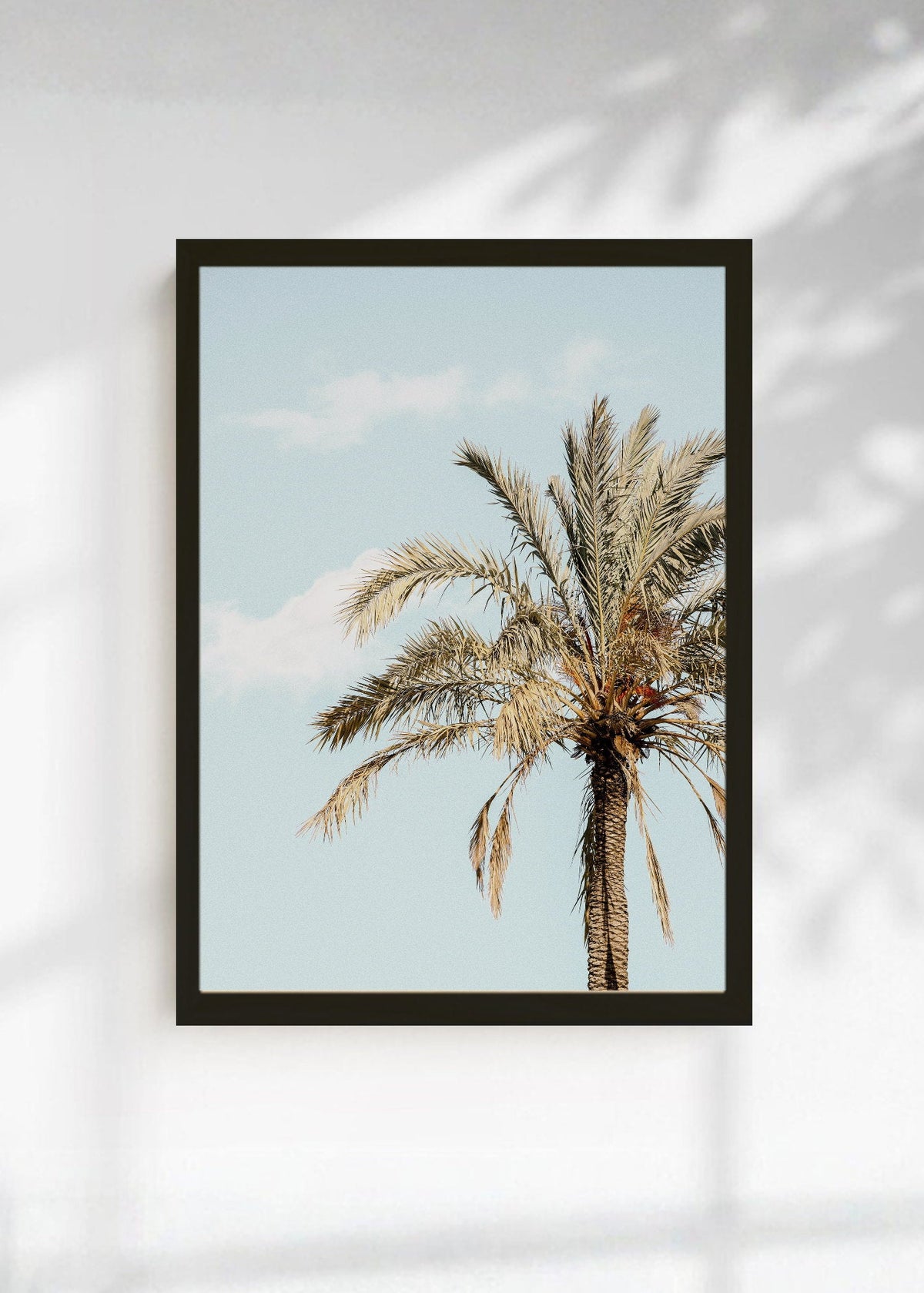 Cuadro Decorativo Playa, Palmera Datilera Beige