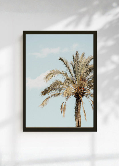 Cuadro Decorativo Playa, Palmera Datilera Beige