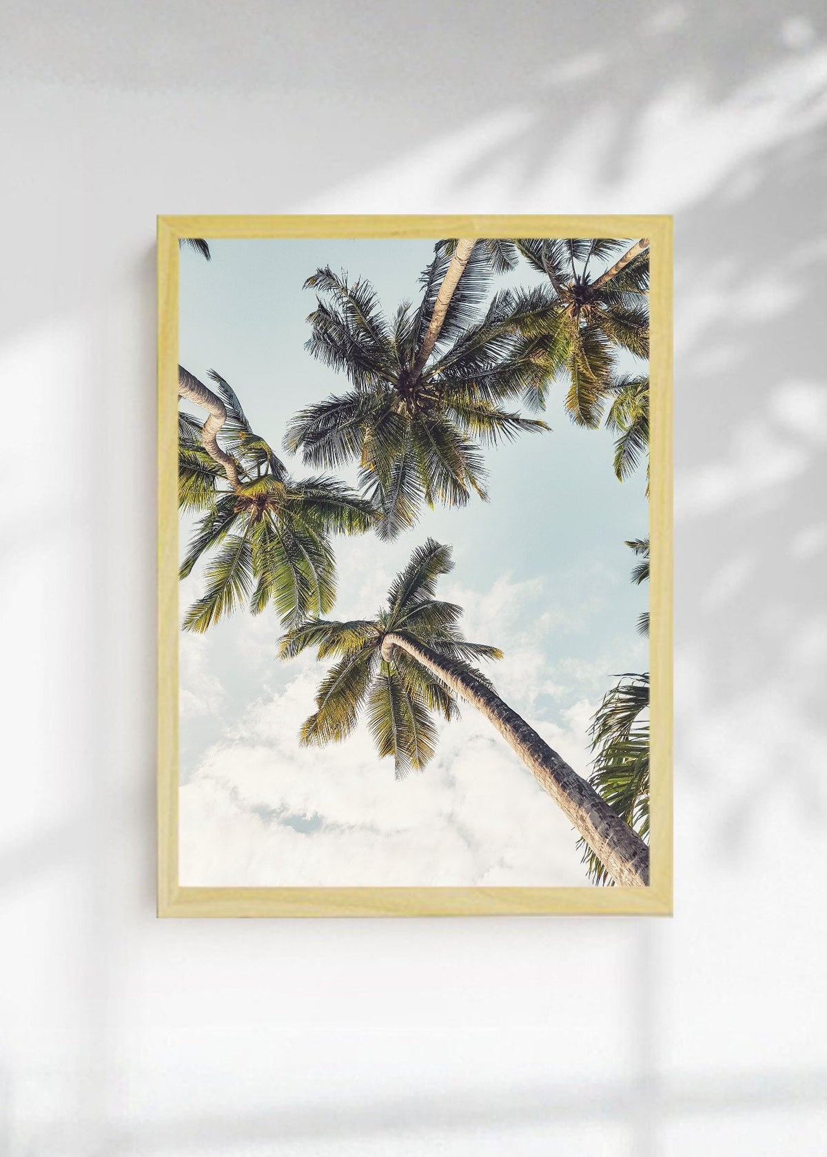 Cuadro Decorativo Playa, Palmera Inclinada Blanco