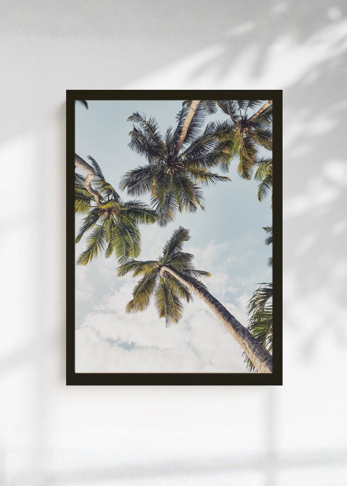 Cuadro Decorativo Playa, Palmera Inclinada Blanco