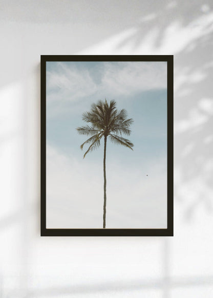 Cuadro Decorativo Playa, Palmera Minimal Cielo