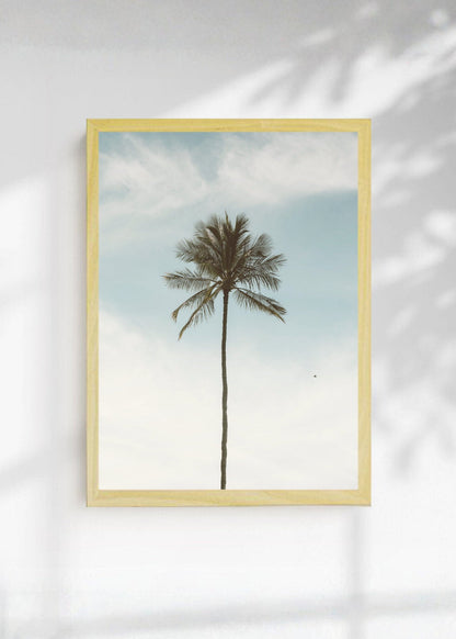 Cuadro Decorativo Playa, Palmera Minimal Cielo