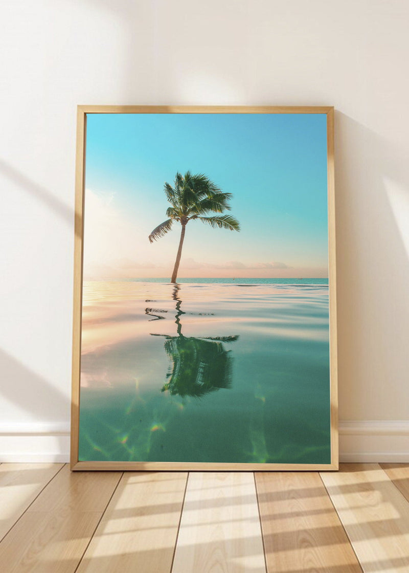 Palmera Reflejo Agua