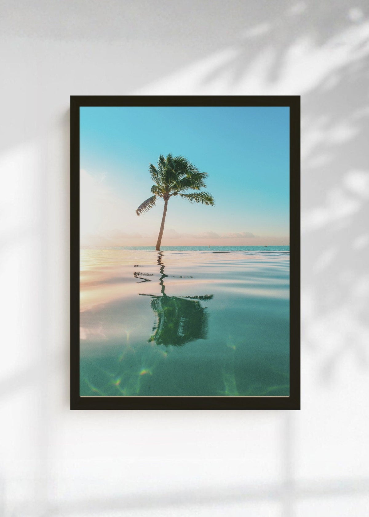 Cuadro Decorativo Playa, Palmera Reflejo Agua