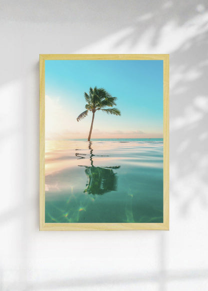 Cuadro Decorativo Playa, Palmera Reflejo Agua