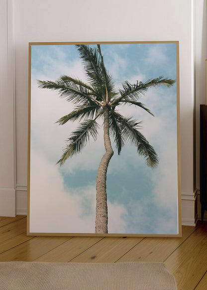 Cuadro Decorativo Playa, Palmera Sola Cielo