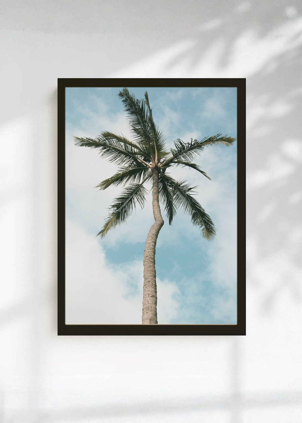 Cuadro Decorativo Playa, Palmera Sola Cielo