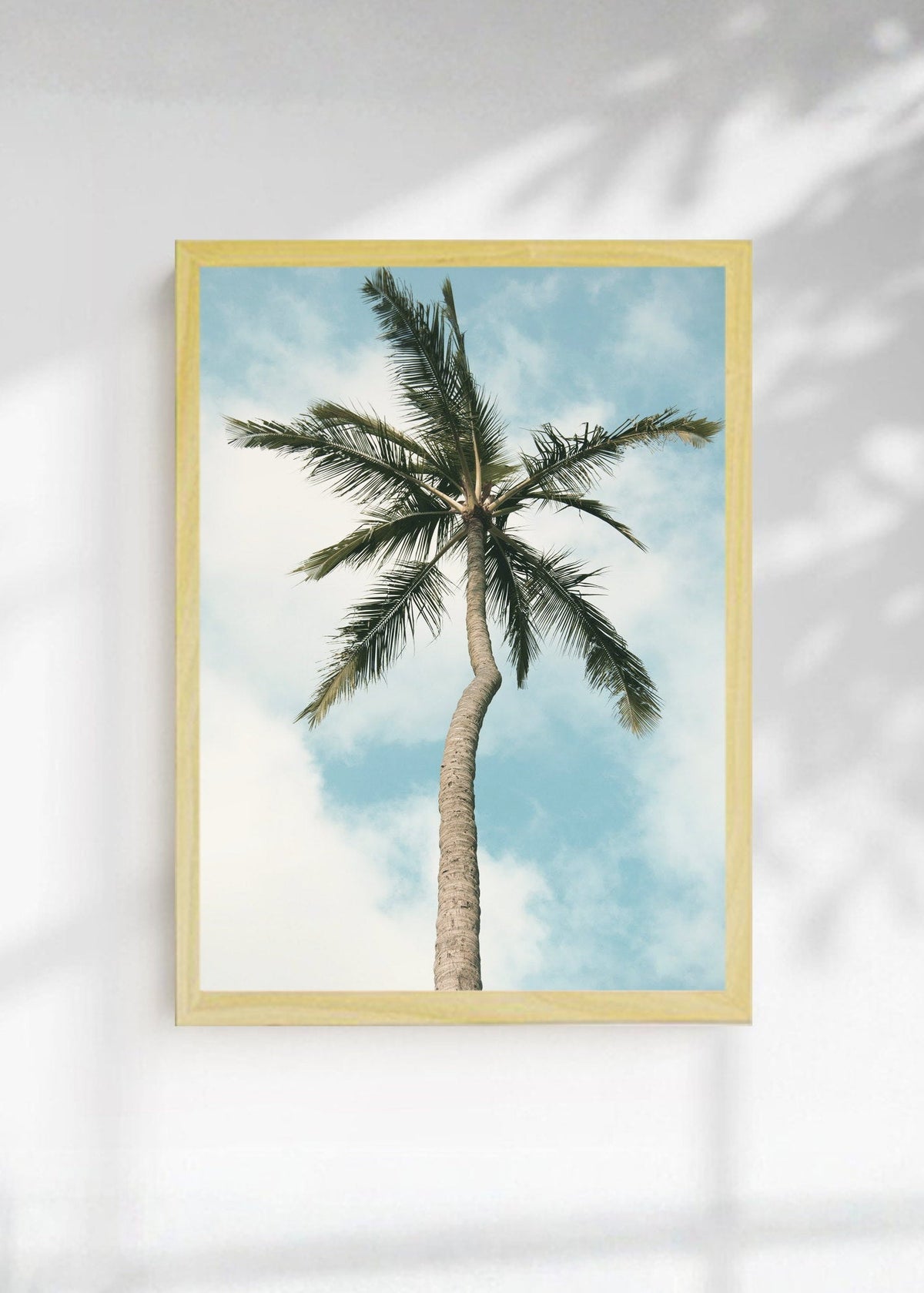 Cuadro Decorativo Playa, Palmera Sola Cielo