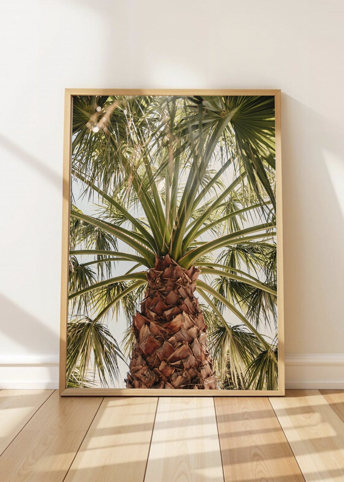 Cuadro Decorativo Playa, Palmera Tronco Verde
