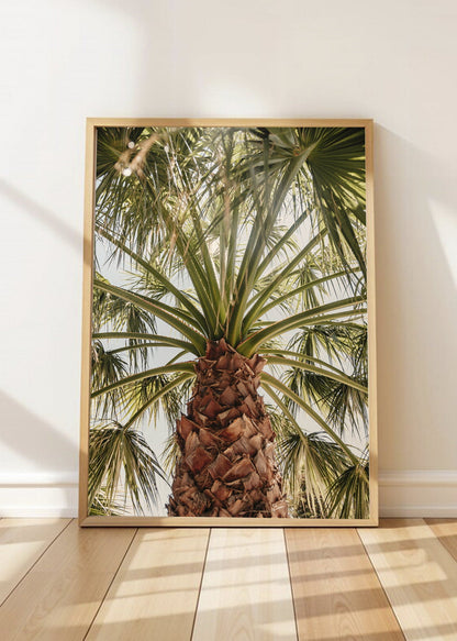 Cuadro Decorativo Playa, Palmera Tronco Verde