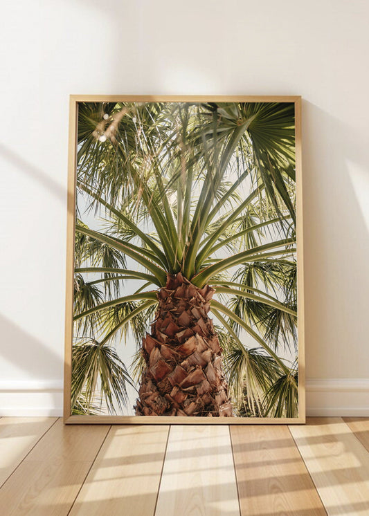 Cuadro Decorativo Playa, Palmera Tronco Verde