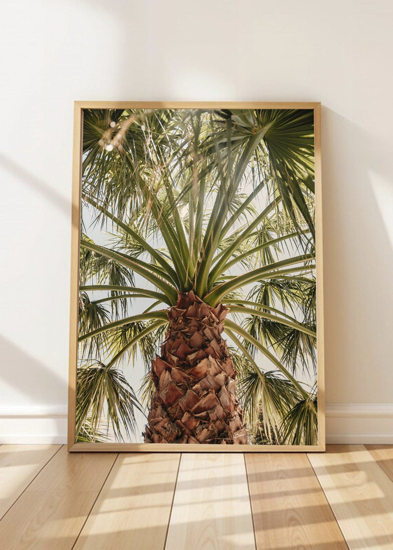 Palmera Tronco Verde