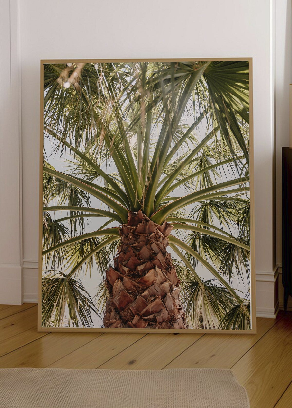 Cuadro Decorativo Playa, Palmera Tronco Verde