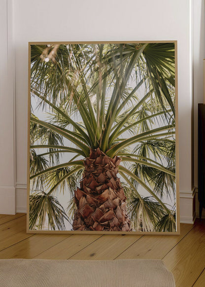 Cuadro Decorativo Playa, Palmera Tronco Verde