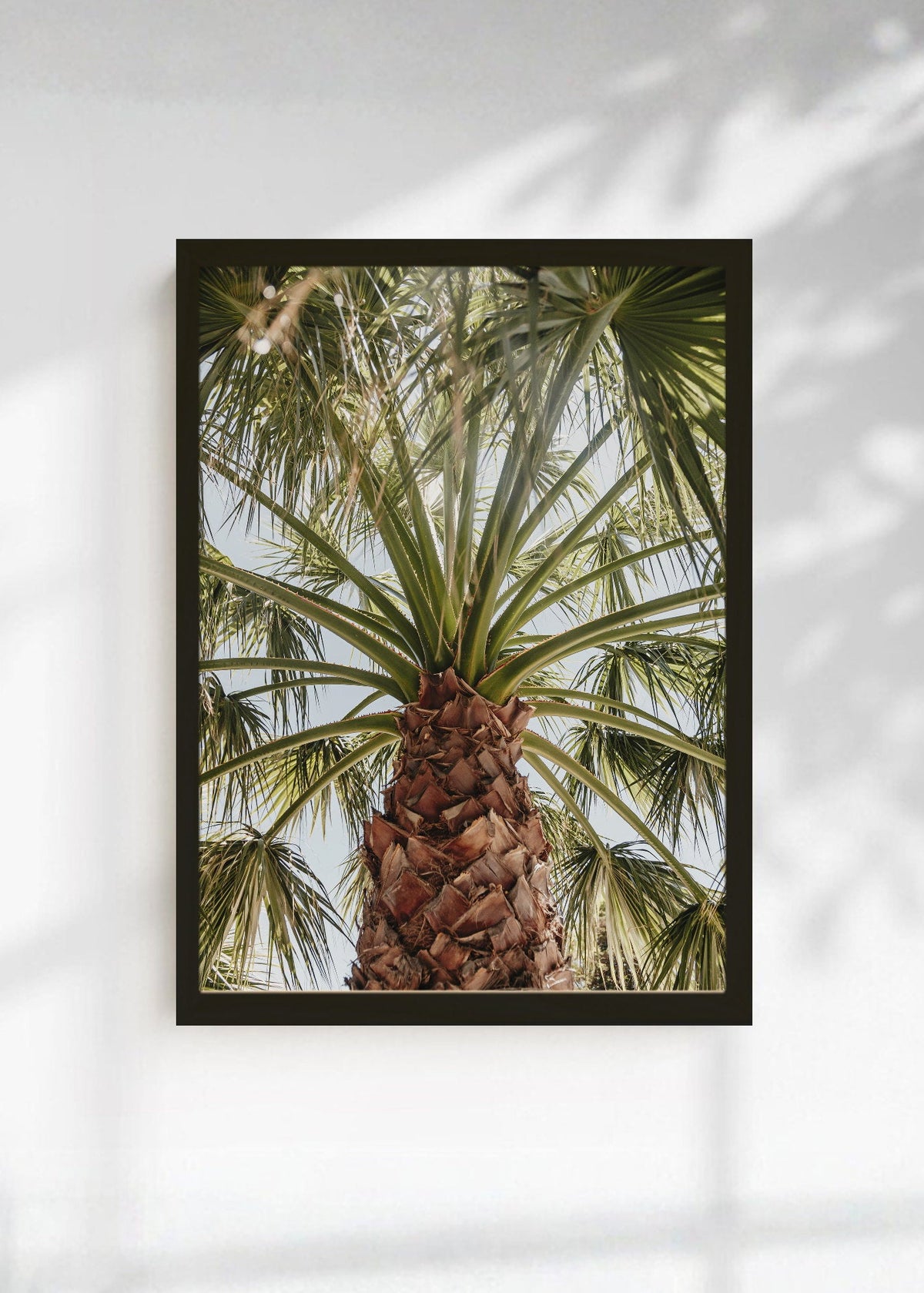 Cuadro Decorativo Playa, Palmera Tronco Verde