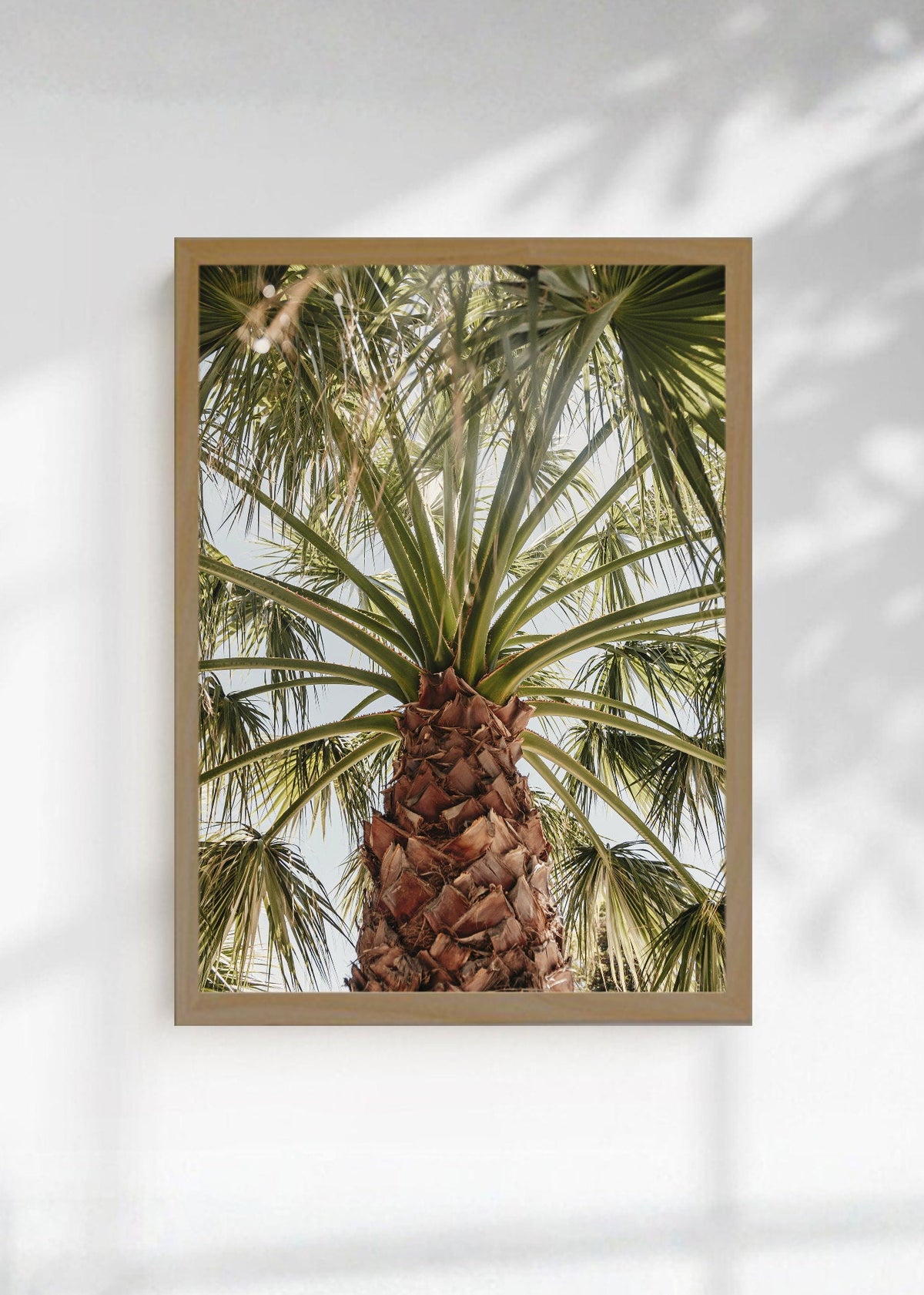 Cuadro Decorativo Playa, Palmera Tronco Verde