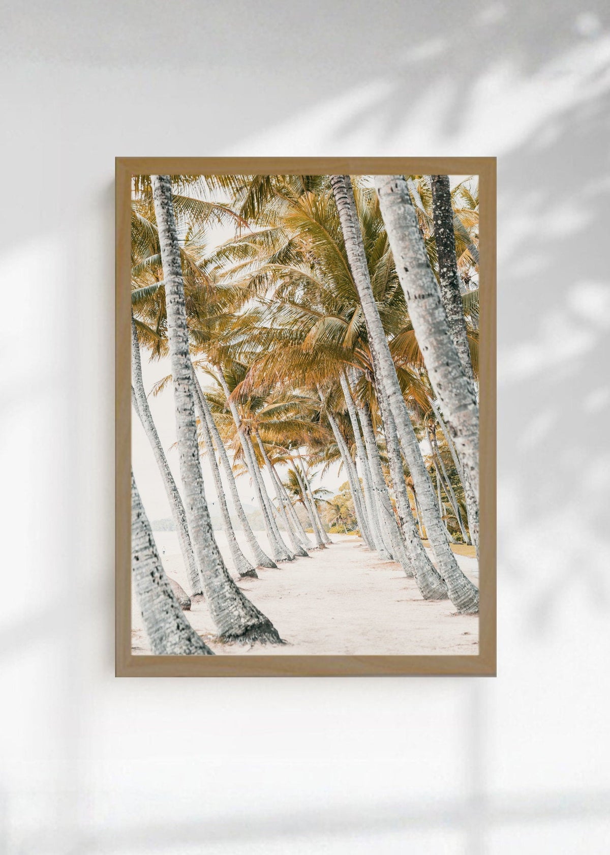 Cuadro Decorativo Playa, Palmeral Blanco