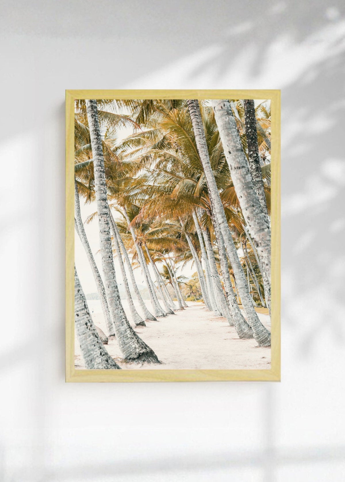 Cuadro Decorativo Playa, Palmeral Blanco