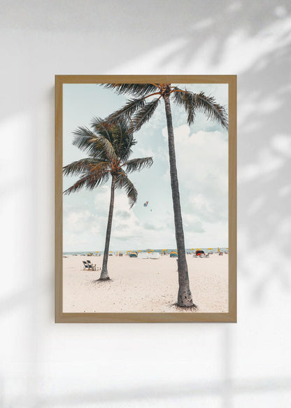 Cuadro Decorativo Playa, Palmeras Arena Blanca