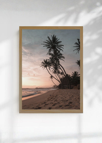 Cuadro Decorativo Playa, Palmeras Arena Crepúsculo