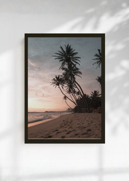 Cuadro Decorativo Playa, Palmeras Arena Crepúsculo
