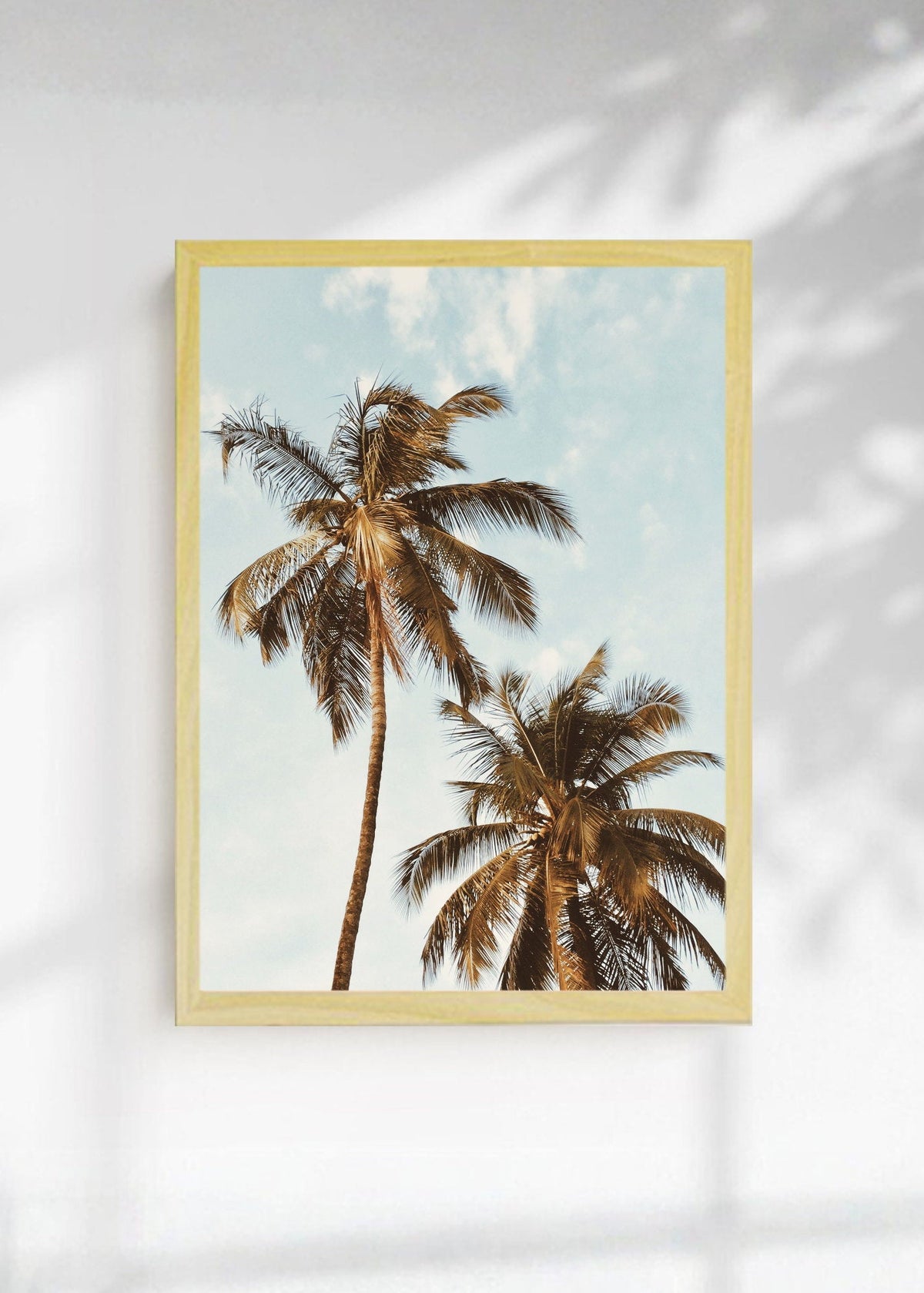 Cuadro Decorativo Playa, Palmeras Cielo Azul