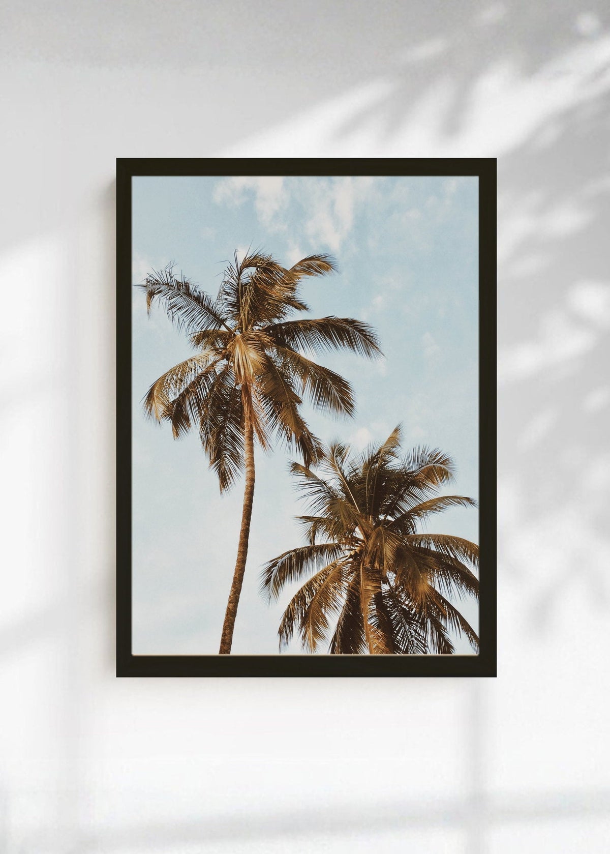 Cuadro Decorativo Playa, Palmeras Cielo Azul