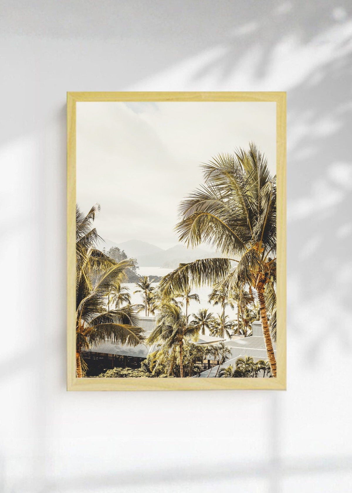 Cuadro Decorativo Playa, Palmeras Cielo Blanco