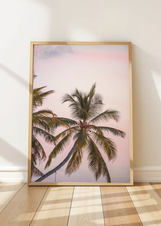 Cuadro Decorativo Playa, Palmeras Cielo Rosa