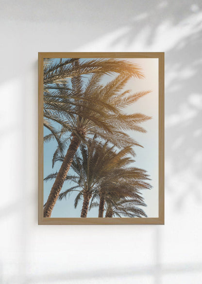 Cuadro Decorativo Playa, Palmeras Doradas Cielo