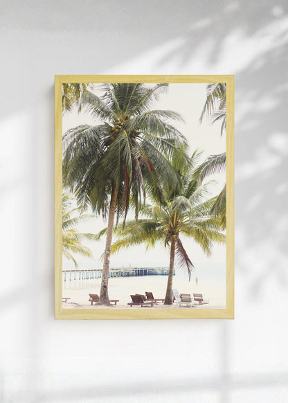 Cuadro Decorativo Playa, Palmeras Reposeras Muelle