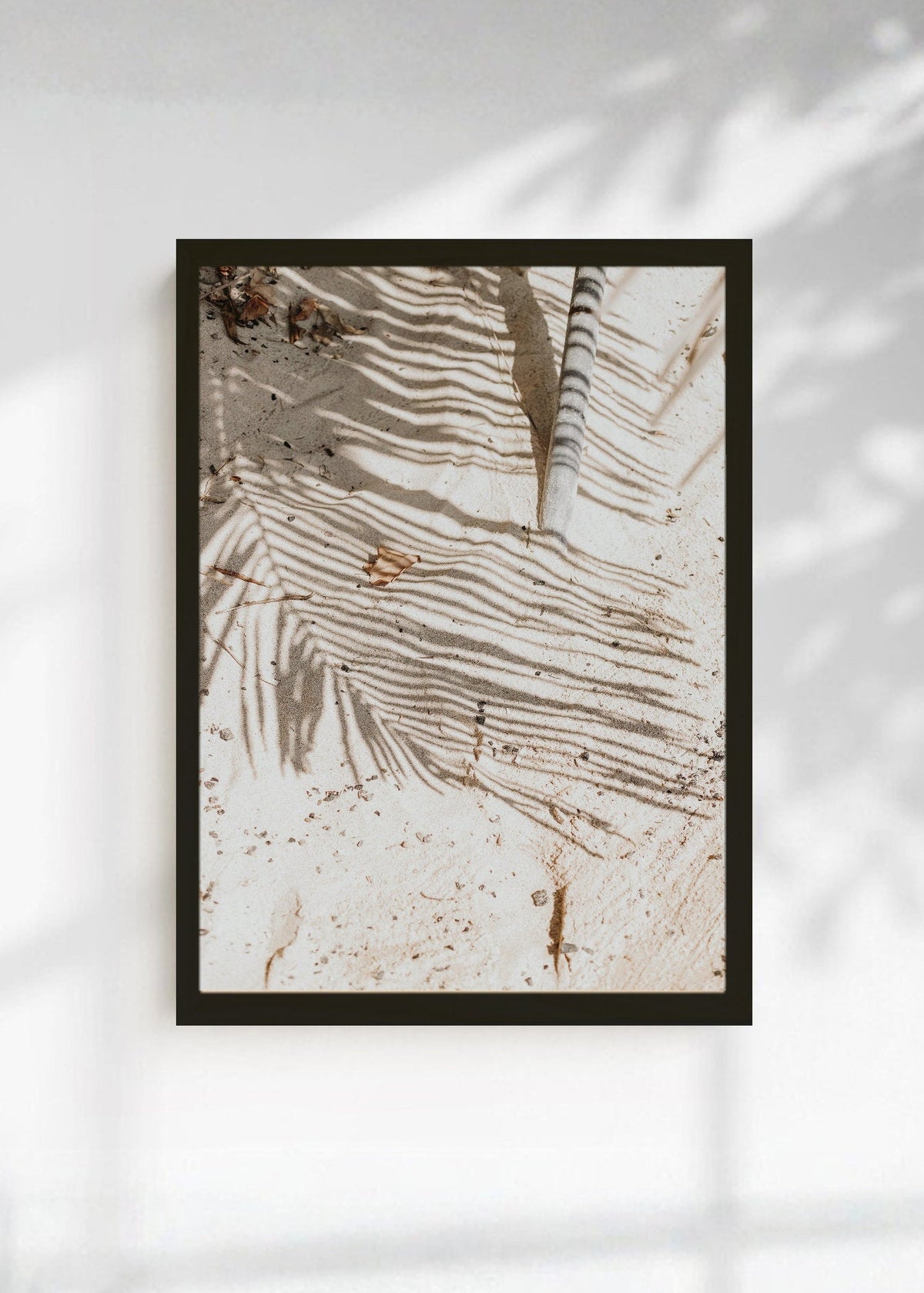Cuadro Decorativo Playa, Sombra Palmera Arena