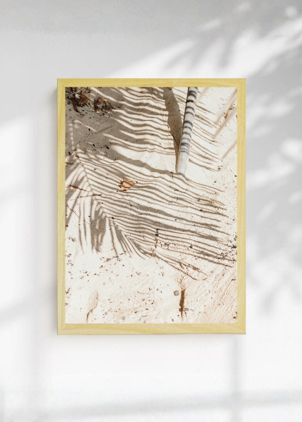 Cuadro Decorativo Playa, Sombra Palmera Arena