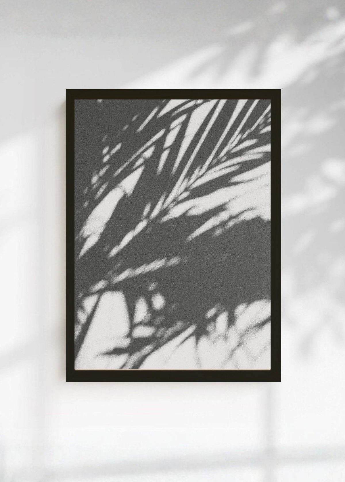 Cuadro Decorativo Playa, Sombra Palmera Blanco Negro