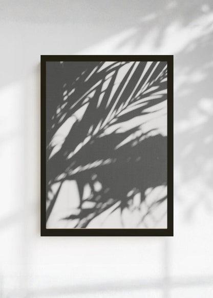 Cuadro Decorativo Playa, Sombra Palmera Blanco Negro