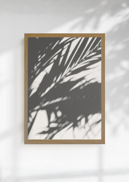 Cuadro Decorativo Playa, Sombra Palmera Blanco Negro